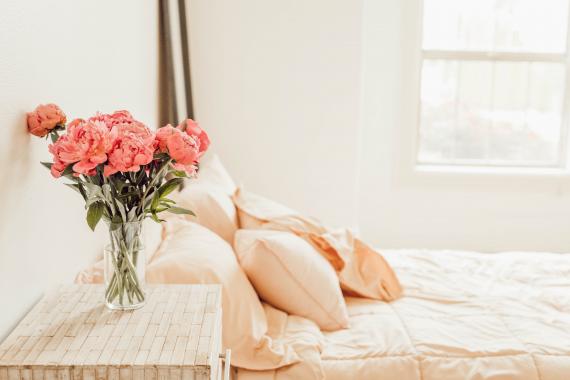mattress, mattress online retailer, mattress dealer, bed, sleep, sleepz, night